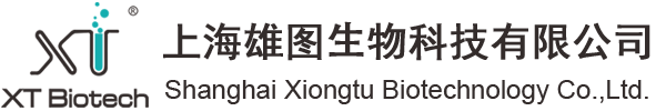 快盈500个人主页