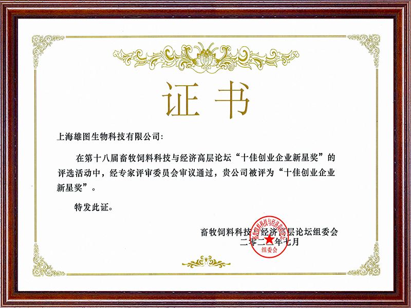 十佳创业企业新星奖