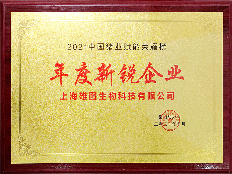 年度新锐企业